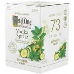 Ketel One - Botanical Cucumber & Mint Vodka Spritz 0