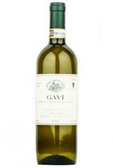Masera Gavi 2024
